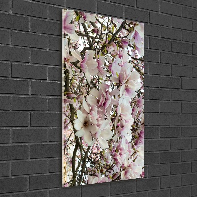 Quadro di vetro verticale Fiori di magnolia