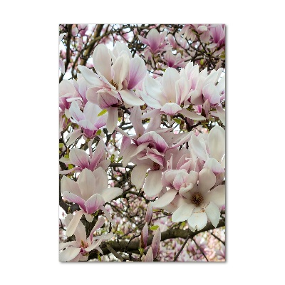 Quadro di vetro verticale Fiori di magnolia