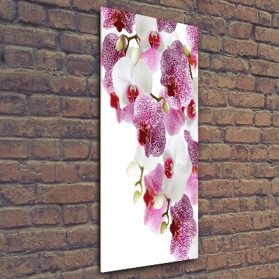 Quadro vetro verticale Orchidea