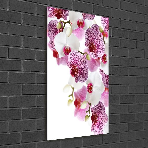Quadro vetro verticale Orchidea