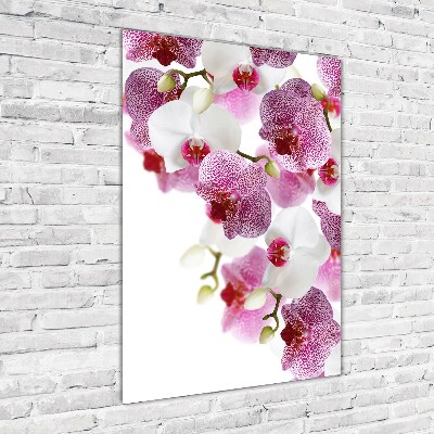 Quadro vetro verticale Orchidea
