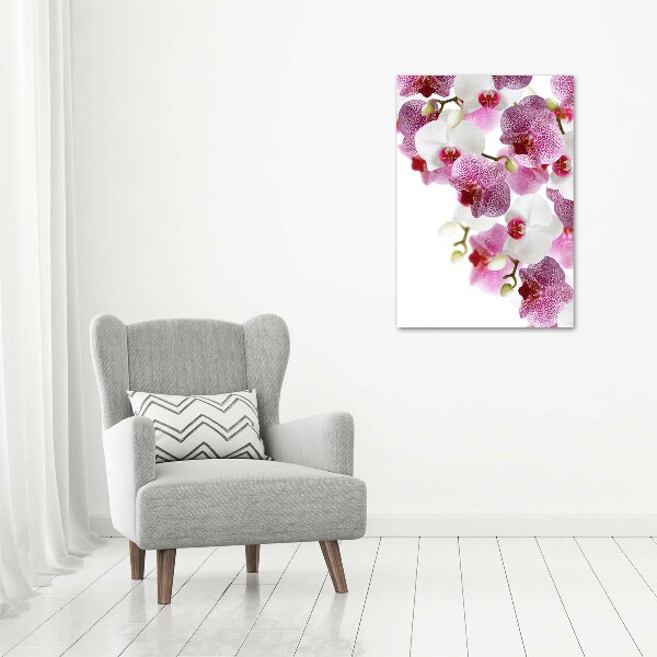 Quadro vetro verticale Orchidea