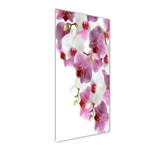 Quadro vetro verticale Orchidea
