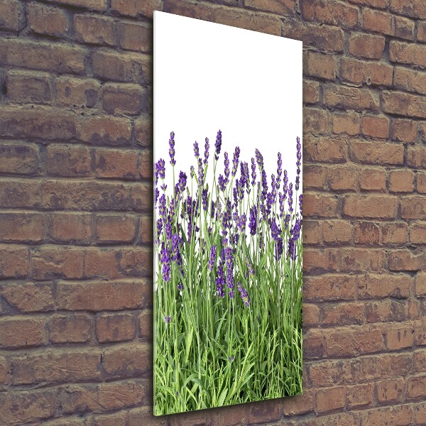 Quadro in vetro verticale Campo di lavanda