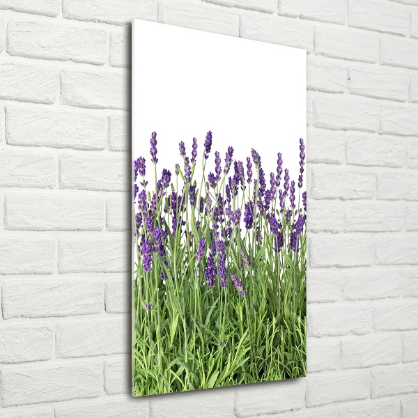 Quadro in vetro verticale Campo di lavanda