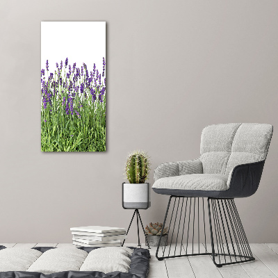 Quadro in vetro verticale Campo di lavanda