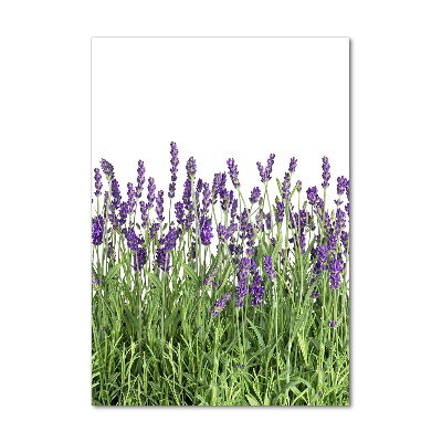 Quadro in vetro verticale Campo di lavanda