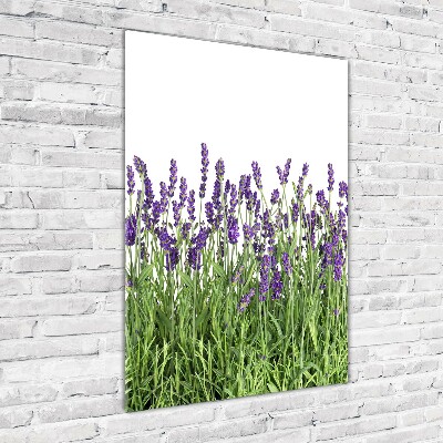 Quadro in vetro verticale Campo di lavanda