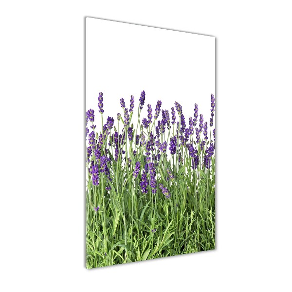 Quadro in vetro verticale Campo di lavanda