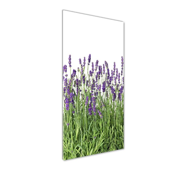 Quadro in vetro verticale Campo di lavanda