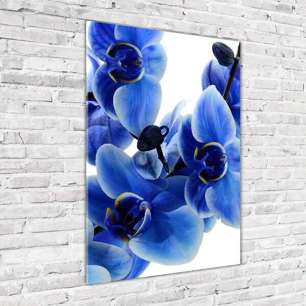 Quadro stampa su vetro verticale Orchidea blu