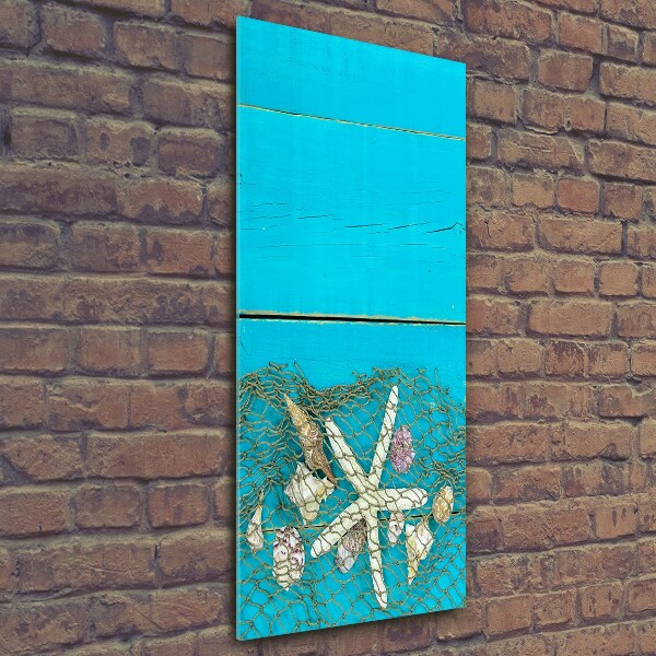 Quadro in vetro verticale Conchiglie e stelle marine