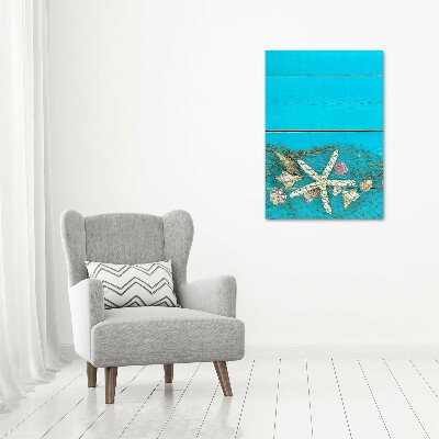 Quadro in vetro verticale Conchiglie e stelle marine