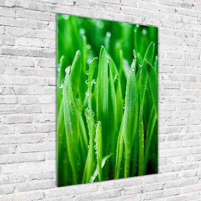 Quadro di vetro verticale Fili d'erba
