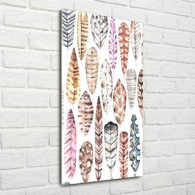 Quadro di vetro verticale Piume colorate