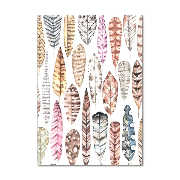 Quadro di vetro verticale Piume colorate