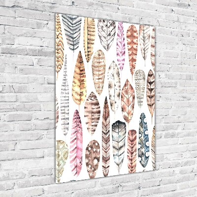 Quadro di vetro verticale Piume colorate