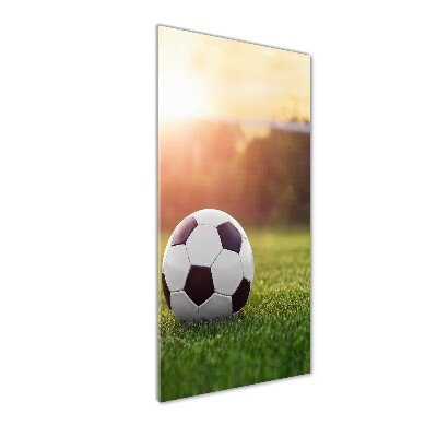 Quadro vetro verticale Calcio
