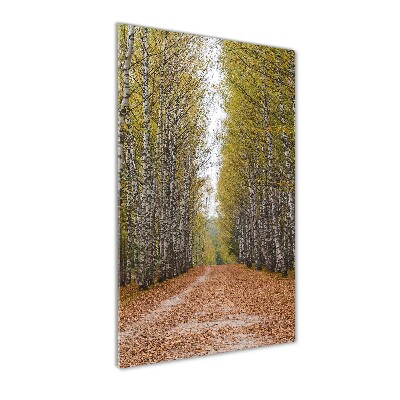 Quadro vetro verticale Foresta di betulle