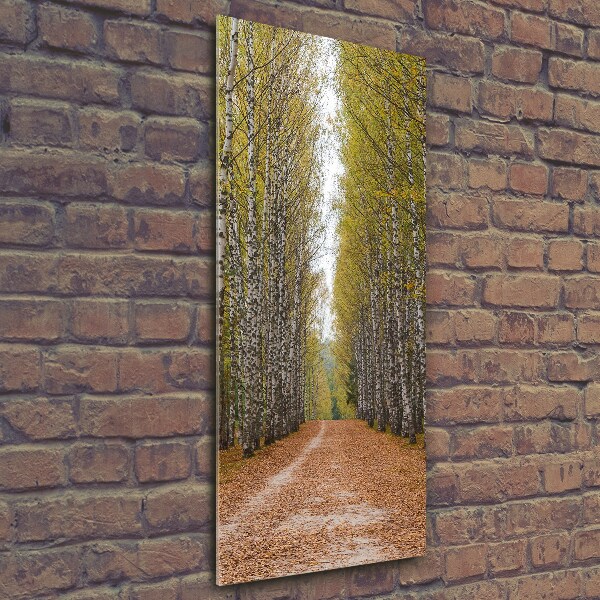 Quadro vetro verticale Foresta di betulle