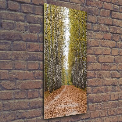 Quadro vetro verticale Foresta di betulle