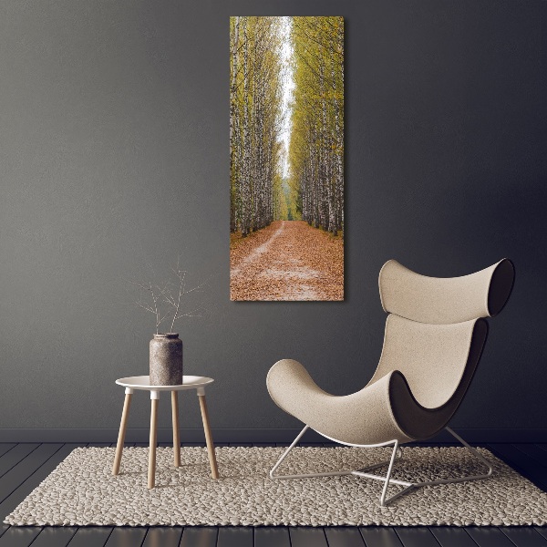 Quadro vetro verticale Foresta di betulle