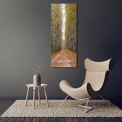 Quadro vetro verticale Foresta di betulle