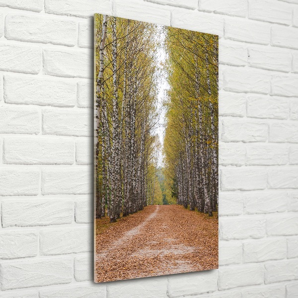 Quadro vetro verticale Foresta di betulle