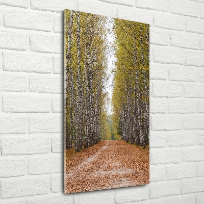 Quadro vetro verticale Foresta di betulle