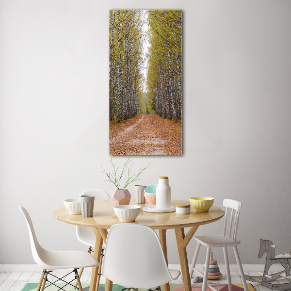 Quadro vetro verticale Foresta di betulle