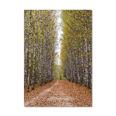 Quadro vetro verticale Foresta di betulle