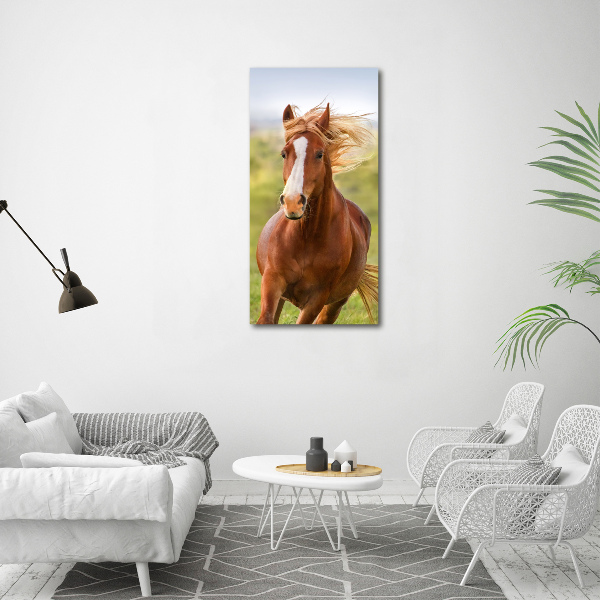 Quadro in vetro verticale Un cavallo al galoppo