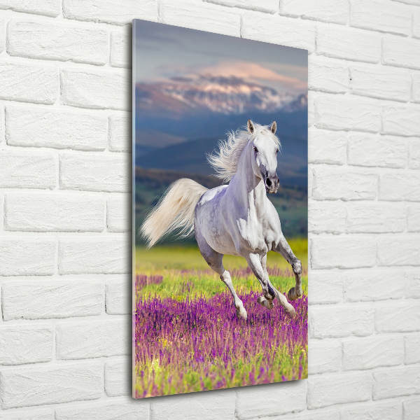 Quadro di vetro verticale Un cavallo bianco al galoppo