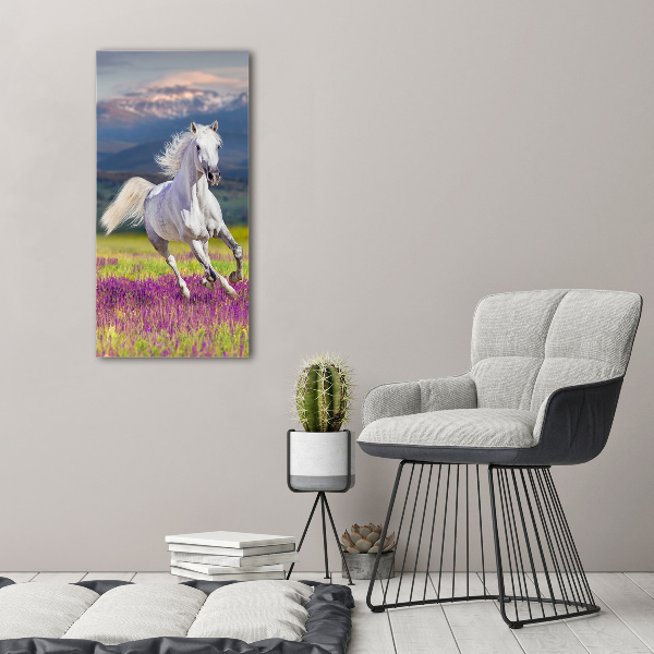Quadro di vetro verticale Un cavallo bianco al galoppo