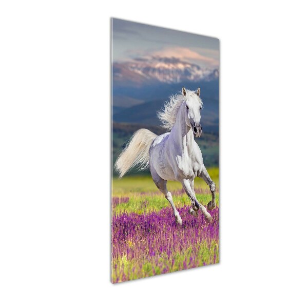 Quadro di vetro verticale Un cavallo bianco al galoppo
