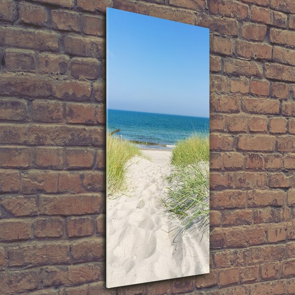 Quadro vetro verticale Dune costiere