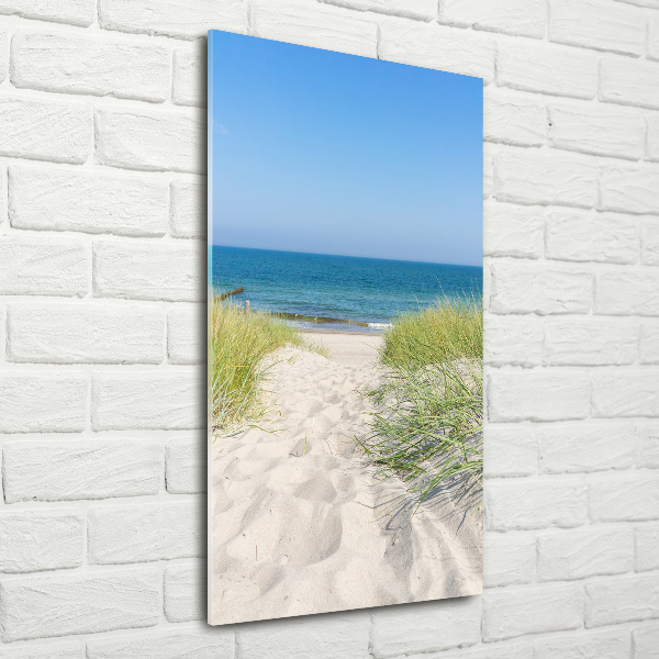 Quadro vetro verticale Dune costiere