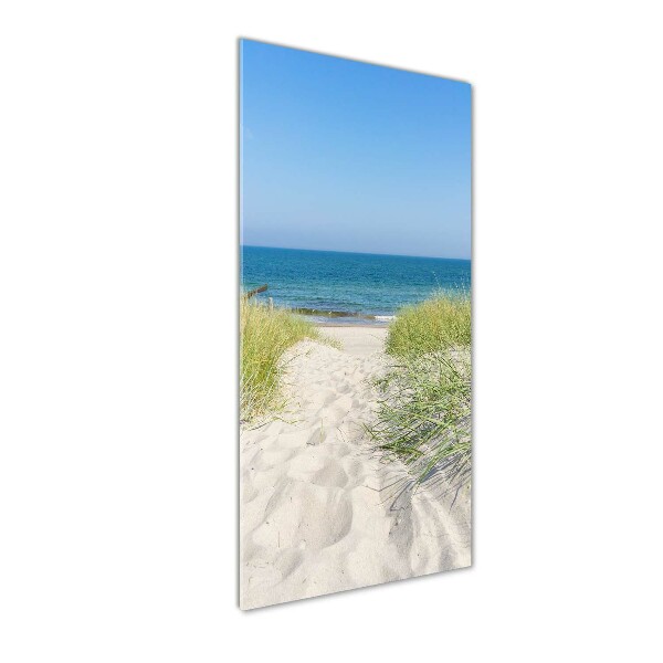 Quadro vetro verticale Dune costiere
