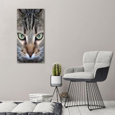 Quadro vetro verticale Occhi di gatto