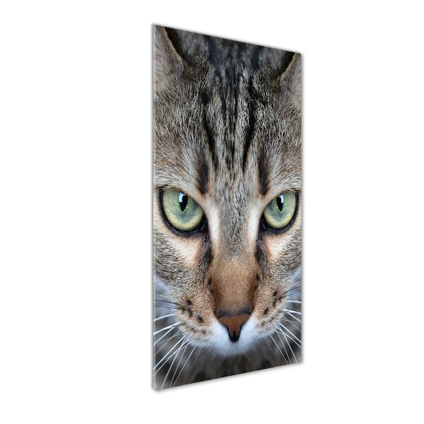 Quadro vetro verticale Occhi di gatto