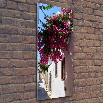 Quadro stampa su vetro verticale Rodi, Grecia