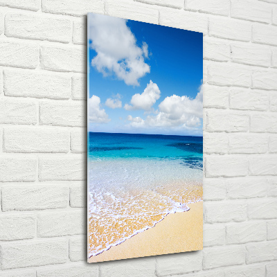 Quadro di vetro verticale Spiaggia tropicale