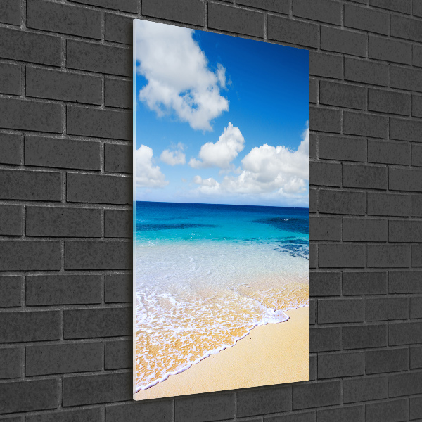 Quadro di vetro verticale Spiaggia tropicale