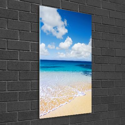 Quadro di vetro verticale Spiaggia tropicale