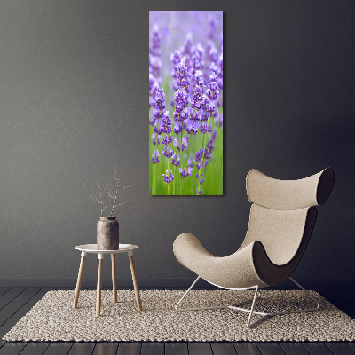 Quadro vetro verticale Campo di lavanda