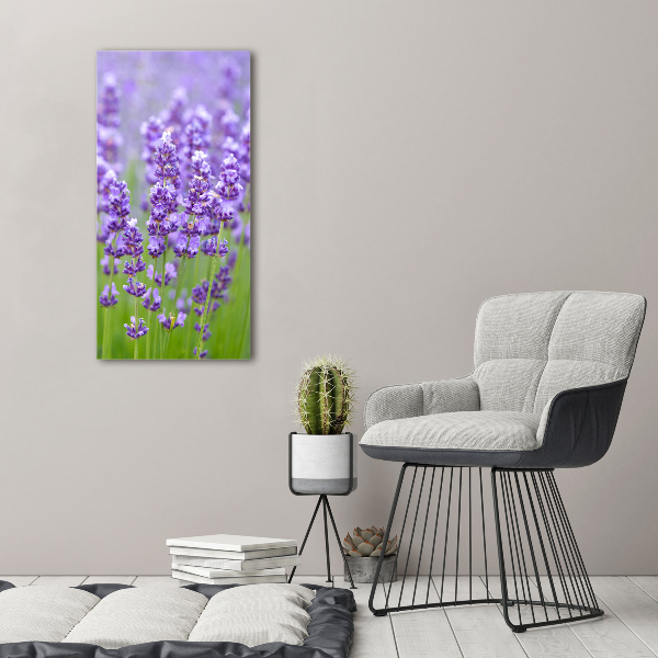 Quadro vetro verticale Campo di lavanda