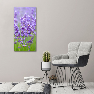 Quadro vetro verticale Campo di lavanda