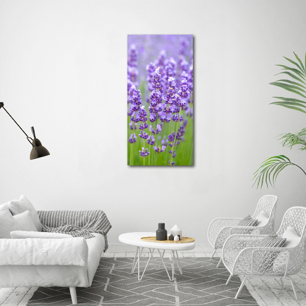 Quadro vetro verticale Campo di lavanda
