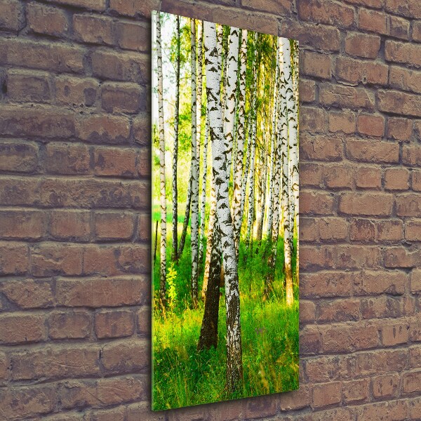 Quadro in vetro verticale Foresta di betulle