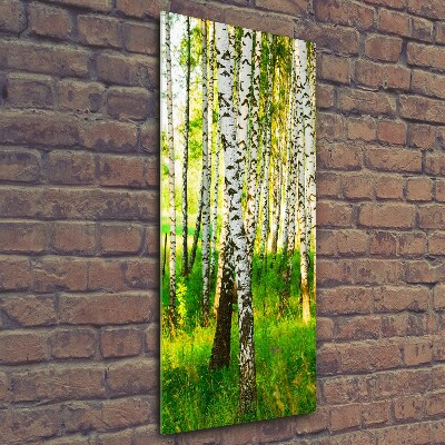 Quadro in vetro verticale Foresta di betulle